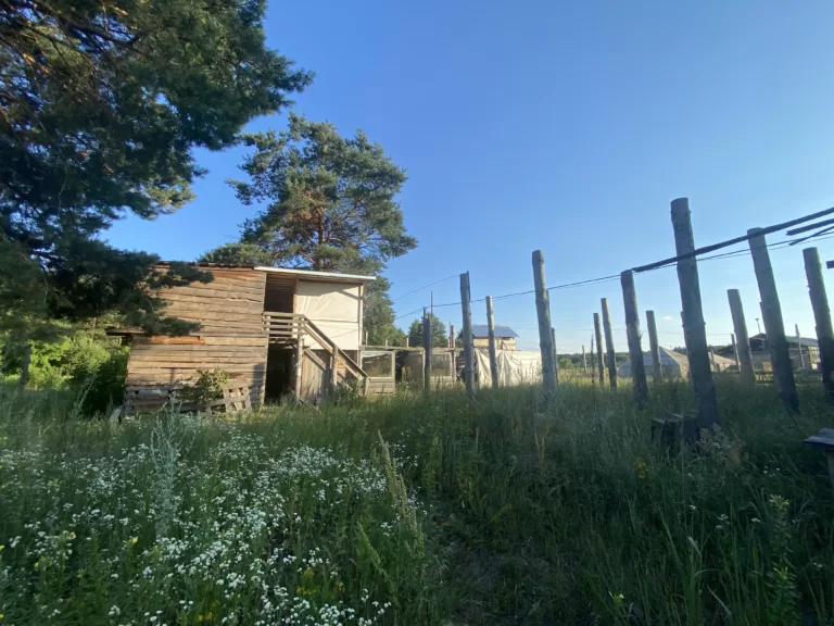 Eko-osada dla dzieci